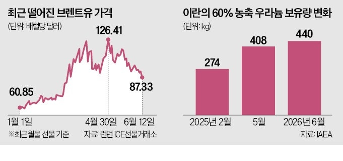 이란 협상 돌발 변수 된 트럼프 '생일 종전'