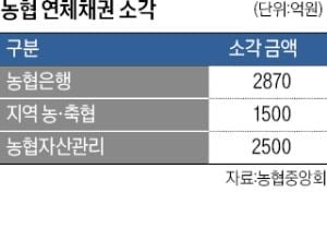 농협, 5년간 포용금융에 15조원