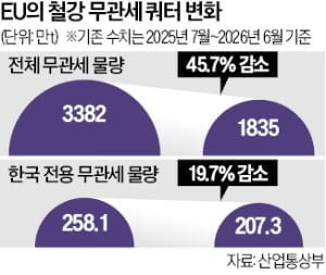 무관세 철강 줄인 EU…韓, 20%만 감소 '선방'