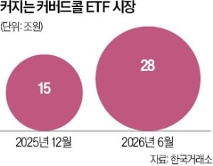 커버드콜 ETF 순자산 28조…반년 새 두 배