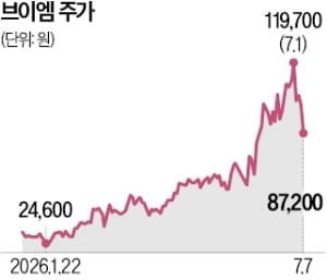 반도체 설비투자 수혜주 부상…브이엠, 올 상승률 220% 돌파