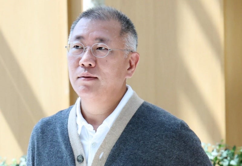 美 <b>조지아</b> 주지사 "정의선 회장 만난다"…투자 논의할 듯