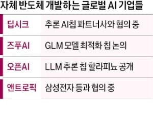 中 딥시크도 반도체 개발…'1사 1칩' 시대 오나