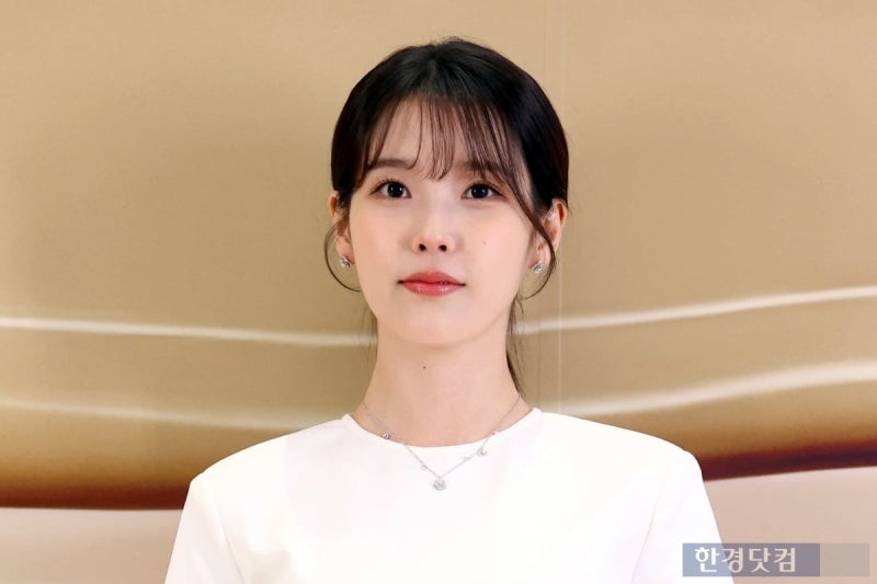 아이유가 참다 참다 결국 악플러 잡으려고 미국 법원까지 두드렸다