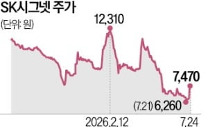 [단독] '캐즘 직격탄' SK시그넷, 홍콩계 앵커PE에 팔린다