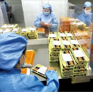 해발 4000m 고원 티베트에…의약품·와인단지 일군 中