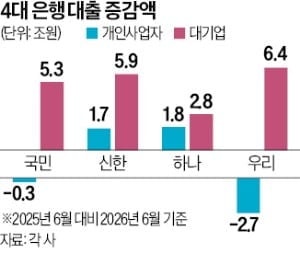 생산적 금융의 역설…개인사업자 대출 외면한 은행