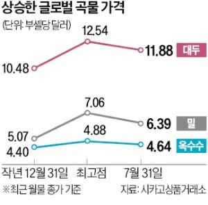 전쟁에 폭염…다시 뛰는 곡물가격