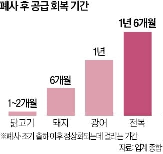 양식장 어류 폐사 속출…'시차 인플레' 온다