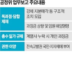 더 세진 공정위 칼날…"담합 땐 지분 강제 매각"