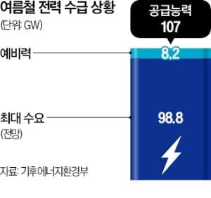 역대급 전력 수요에도…블랙아웃 걱정 없는 이유