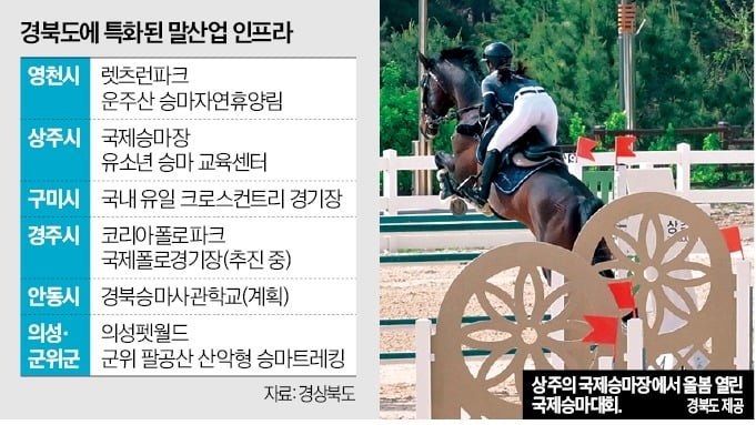 경북 7개 도시 원팀…말 산업 관광벨트 구축