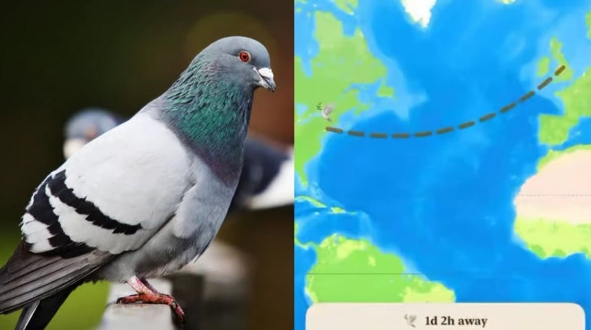 사진=IT즈자
