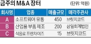 매출 450억 소프트웨어 유통사 매물로