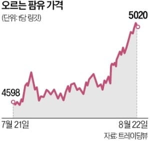 '대체 연료' 수요 늘자…팜유값 22% 상승
