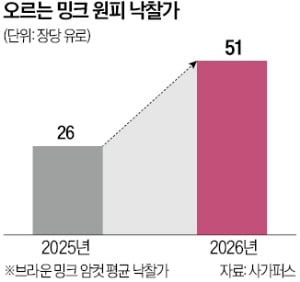 "1년 새 2배 뛰었다"…中 싹쓸이에 올 겨울 '줄인상 예고'