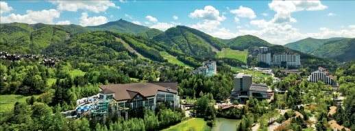 모나용평, 해발 1458m 발왕산 올라…숲길 두르는 치유산책