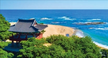 '고성 8경' 청간정 올라, 시리도록 푸른 동해를 굽어보다