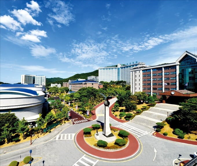 백석대학교, 전공 선택권 100% 보장…해외 취업 전국 1위