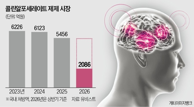 처방액 5000억 치매약 퇴출 기로