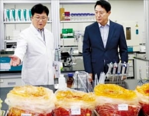 중국산 '발암 배추' 공포…서울시 긴급 점검 나섰다