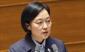 정부 호르무즈 파병 검토에, 與 "신중에 신중을"