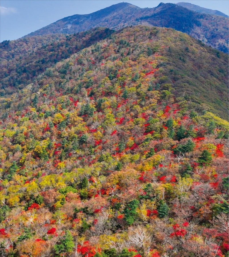 [포토] 알록달록 단풍옷 입은 설악산