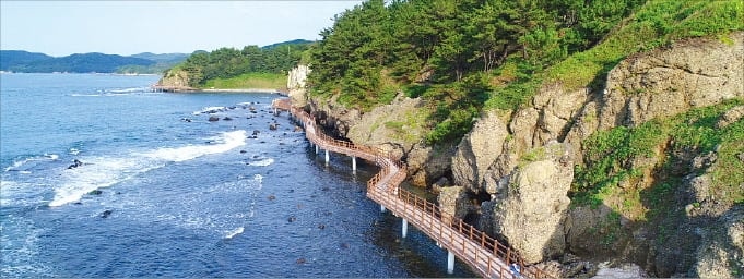 포항, 호미반도 생물권보전지역 지정 신청