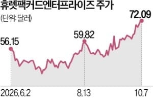 '나홀로 질주' HPE, AMD 손잡고 AI 서버 출시
