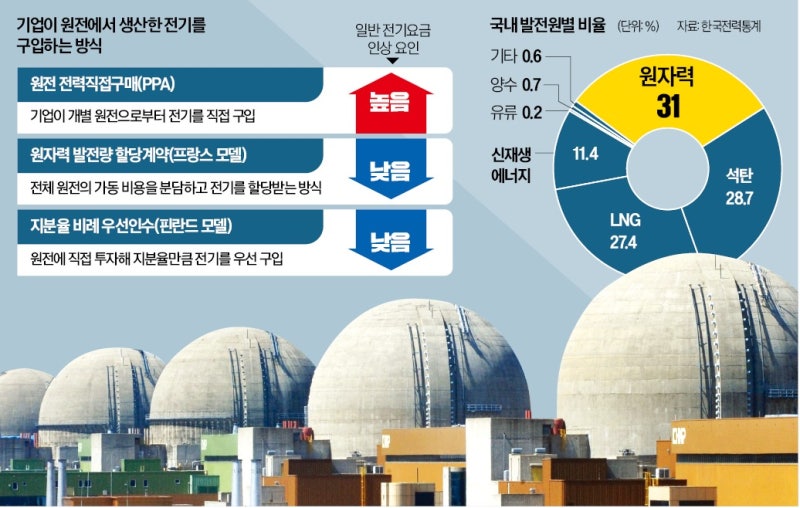 탈탄소 전환 급한데…값싼 전기 공급엔 소극적인 정부