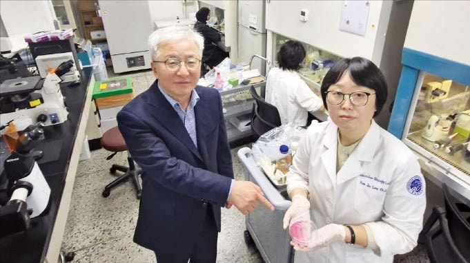 영남대, 수입 의존하던 '세포의 먹이' 생산