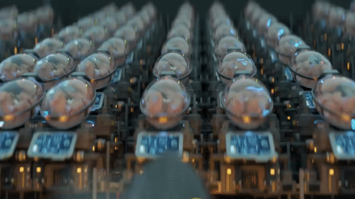 20221214000471_0_20221214141601683.gif?type=w647