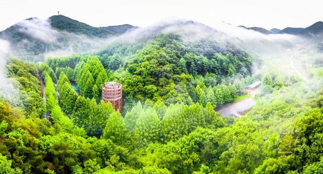 가볍게 대중교통으로 떠나는 당일치기 대전여행