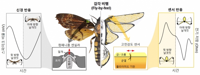 이다컴패니 이미지