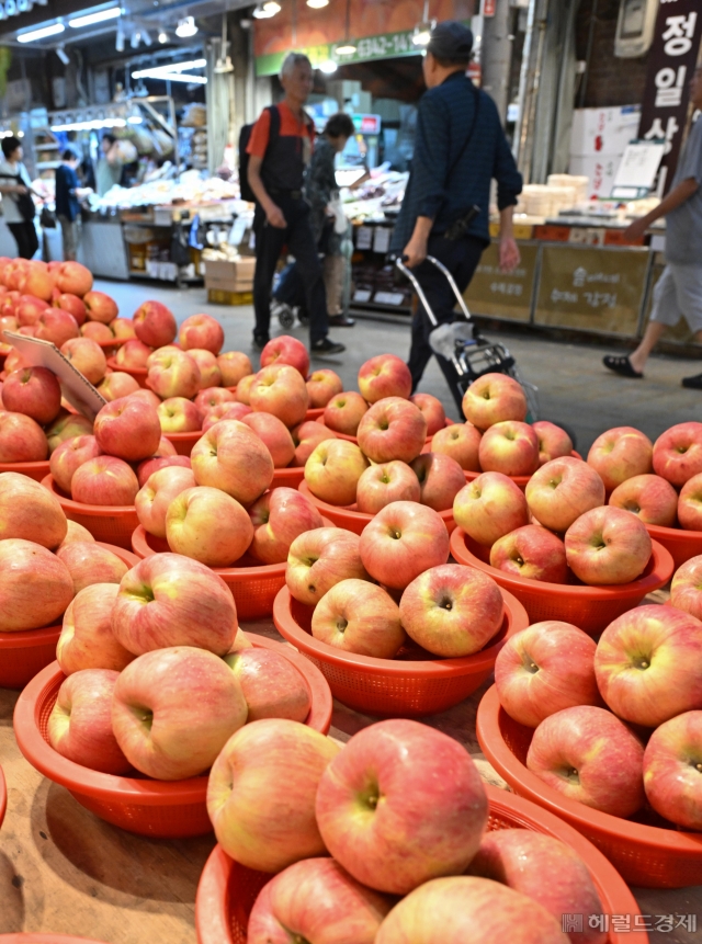 According to the Korea Agro-Fisheries & Food Trade Corporation (aT), prices of major vegetables such as spinach and radish have risen by 40% compared to last year, and the retail price of a reference-size chicken has increased by 41.9% to 1,797 won. On the morning of the 6th, apples are displayed at a shop in the Gyeongdong Market in Dongdaemun-gu, Seoul. Reporter Im Se-jun