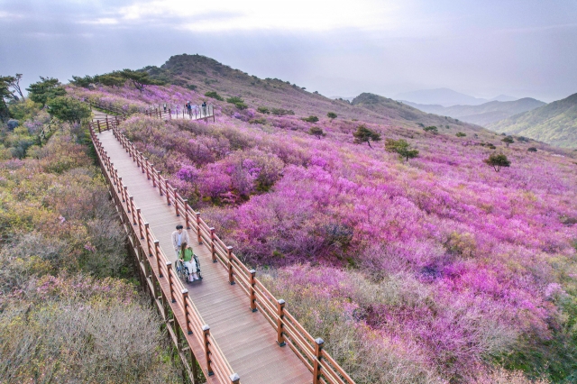 비슬산