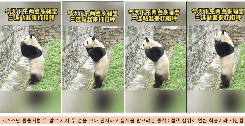 news-feed-thumbnail