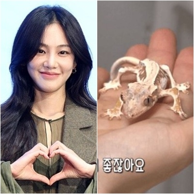 배우 <b>한지은</b>, 반려 <b>도마뱀</b> 동물<b>학대 논란</b>…“뼈만 앙상”