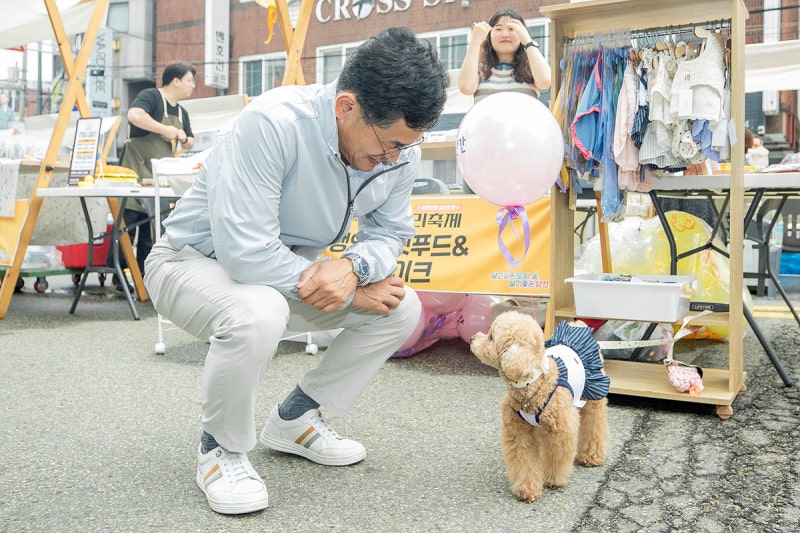 양천구, 10월 말까지 <b>동물</b>등록 자진신고하면 과태료 면제