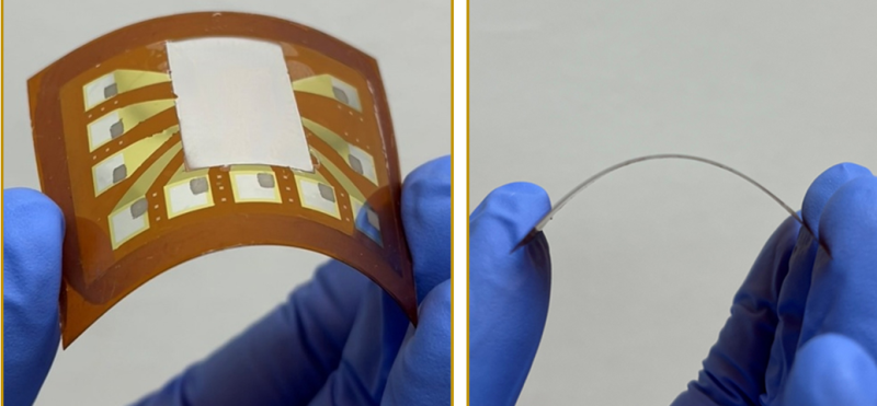 0002549588_001_20251030010111373.png?type=w800