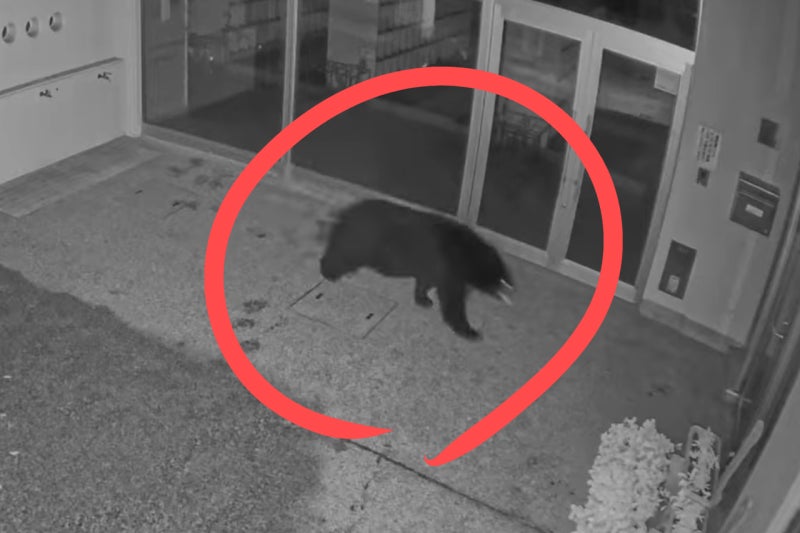 0002550940_001_20251031192012903.jpg?type=w800