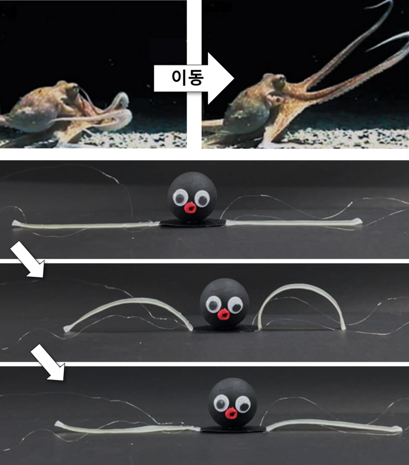 0002558274_001_20251116120116708.png?type=w800