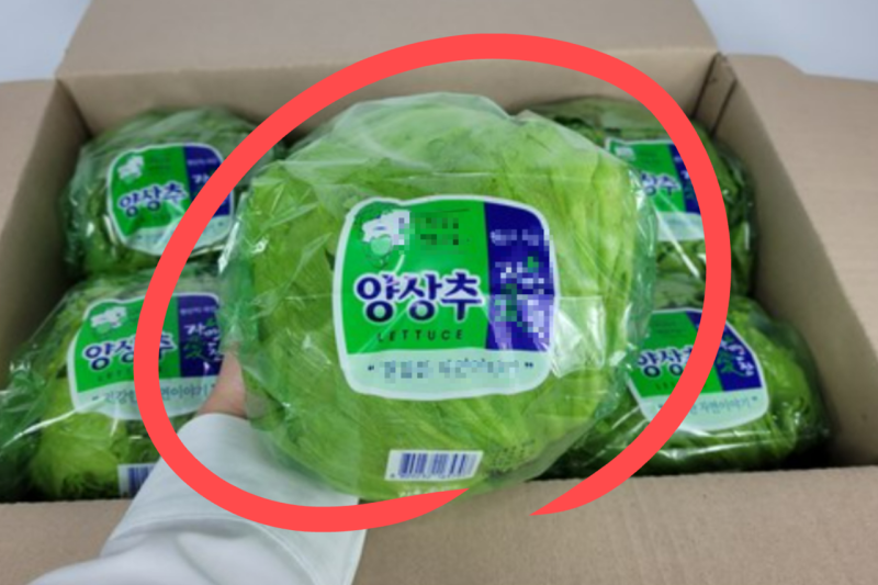 0002560208_001_20251119184109381.png?type=w800