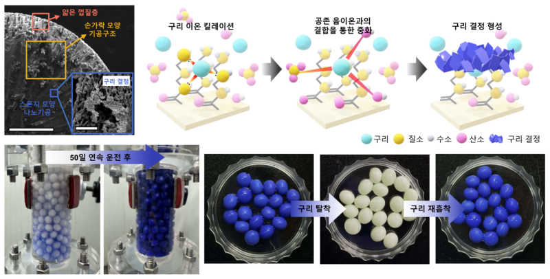 0002560646_001_20251120120116509.png?type=w800