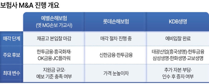 “보험업계 M&A로 지각변동 예고” MG예별·롯데·KDB 인수전 활발