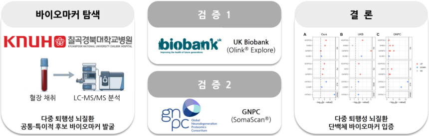 다중 퇴행성 뇌질환 혈장 단백체 분석을 통한 병리 시그니처 규명 및 이종 플랫폼 검증 모식도.[한국뇌연구원 제공]