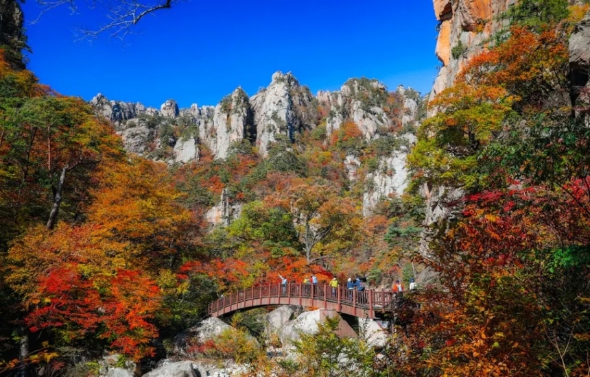 설악산 국립공원 [클룩 제공]