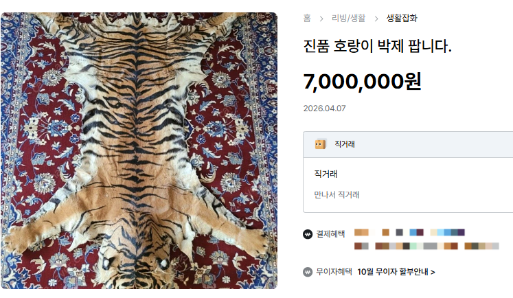 호랑이 박제가 중고거래되고 있다.[중고나라 ‘호랑이 박제’ 판매 페이지 갈무리]