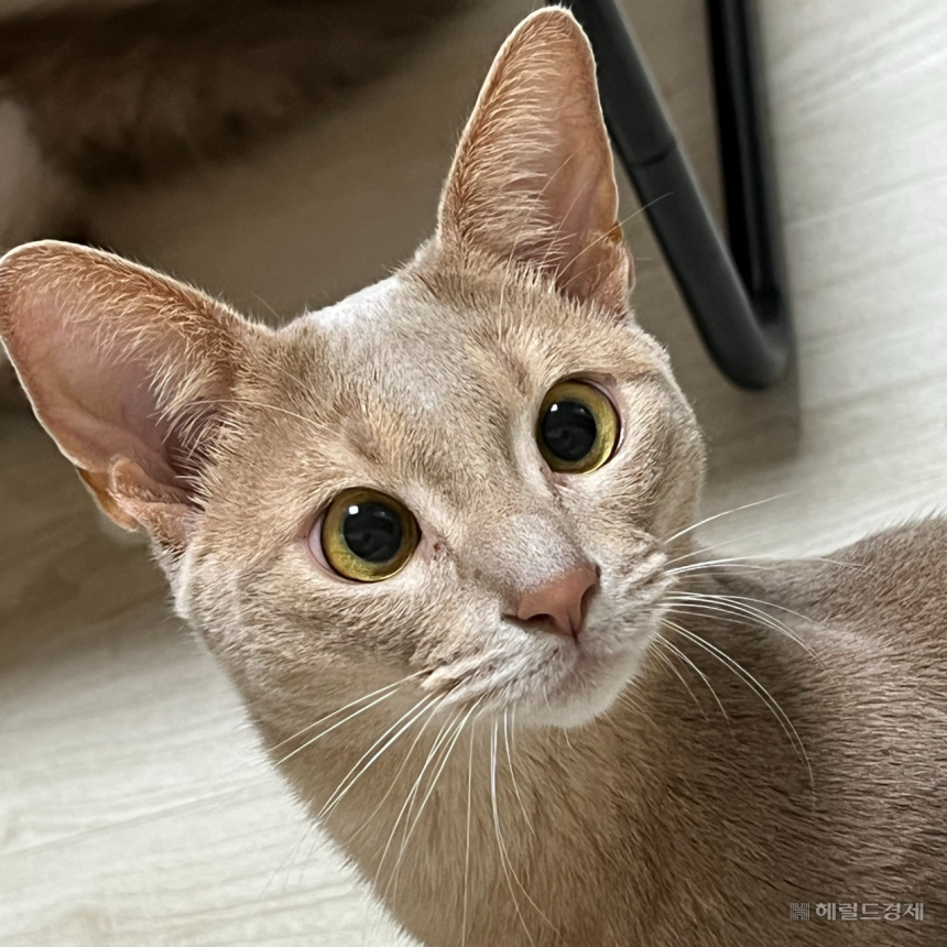 장윤우 기자