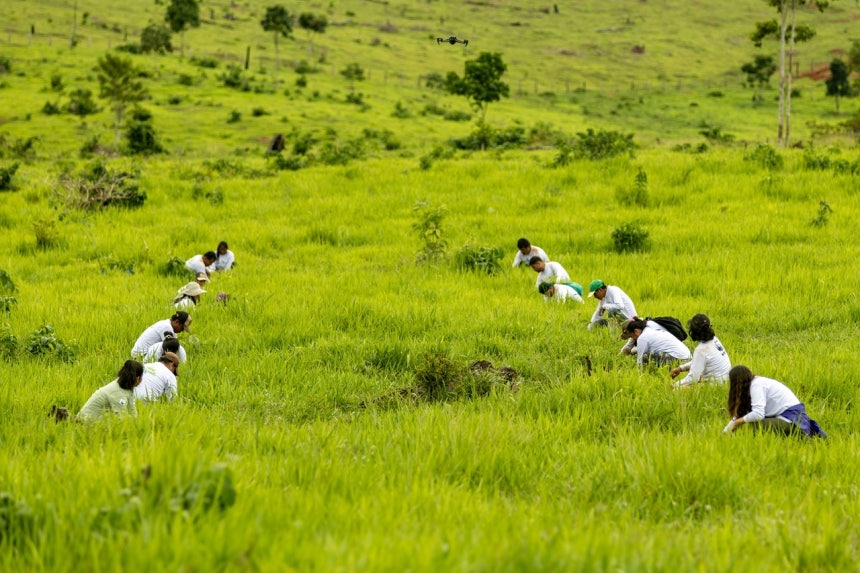 2023년 11월 페루 마드레데디오스주에서 진행된‘생태적으로 가치 있는 산림 보전(Conserving ecologically valuable forests)’을 위한 첫 번째 복원 활동에 참여중인 자원봉사자.[WW